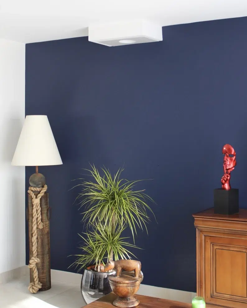 Salon moderne avec mur bleu marine, lampe design en corde et plante verte décorative