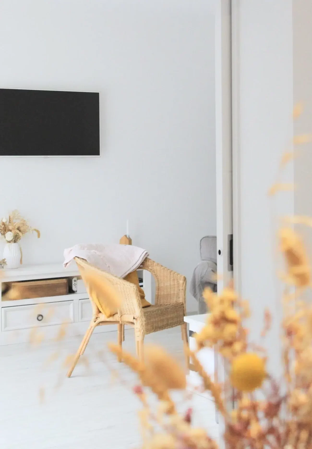 Salon lumineux décoré dans un style minimaliste avec fauteuil en rotin et télévision murale